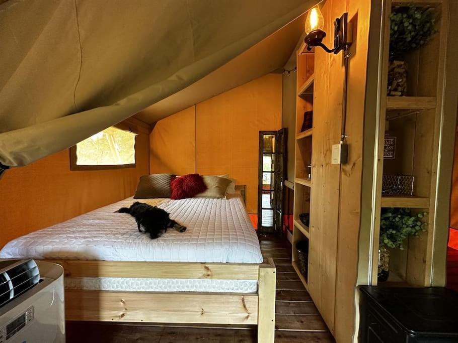 12 Fires Luxury Glamping With Heating #5 Hotell Johnson City Exteriör bild